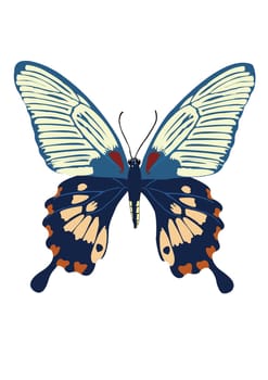 The Butterfly with open wings in a top view as a flying migratory insect butterflies