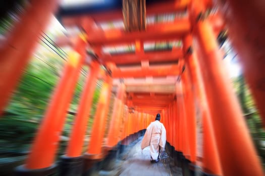 Red Tori Gate at Fushimi Inari Shrine in Kyoto, Japan, selective focus, soft focus and blur imag