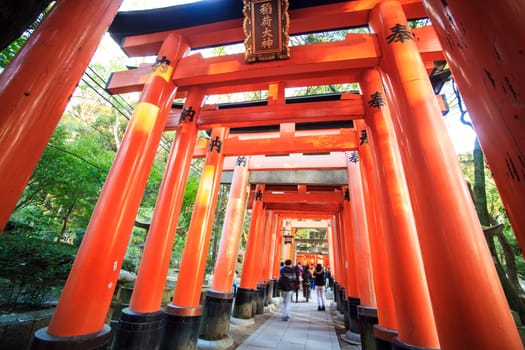 Kyoto, Japan - Nov 23, 2013