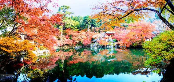 Kyoto, Japan - Nov 24, 2013