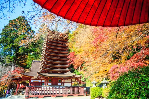 Nara, Japan - November 27, 2013