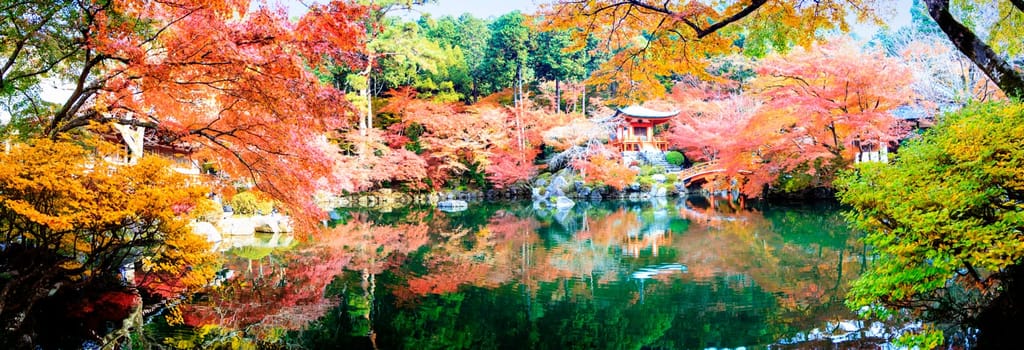 Kyoto, Japan - Nov 24, 2013