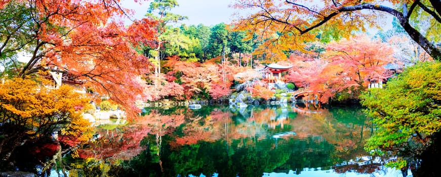 Kyoto, Japan - Nov 24, 2013