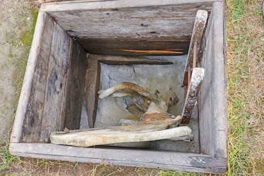 Permafrost Icebox with Whale Bones in Barrow, Alaska