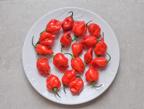 Red hot chili peppers (Capsicum) aka bell peppers vegetables, vegetarian food