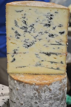 Traditional handmade blue cheese fine food from Europe