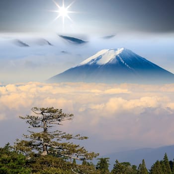 The beautiful landscape with nice background color