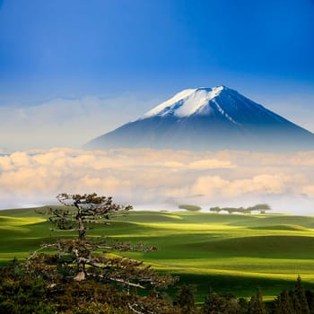 The beautiful landscape with nice background color