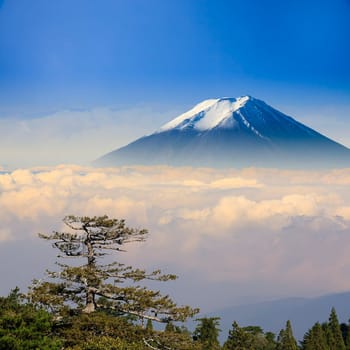 The beautiful landscape with nice background color