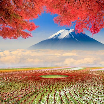 The beautiful landscape with nice background color