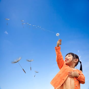 girl with is holding dandelion in hand while standing on with nice blue sky