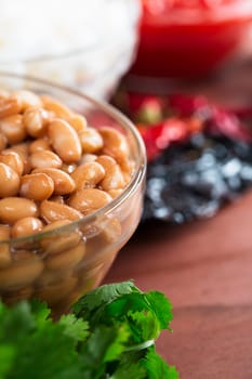 Pinto beans and other ingredients for Mexican cooking.