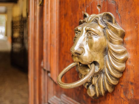 Knocker lion's head on a wooden door