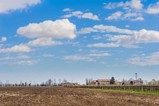 Agricultural Landscape with vineyard and farm house in the background