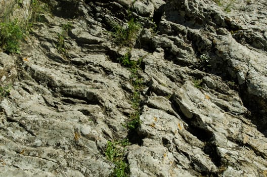 on a rocky surface green, gray and yellow moss fungus view