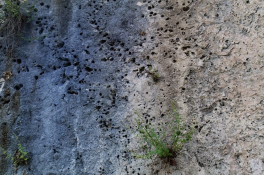 natural texture of stone on a rocky surface