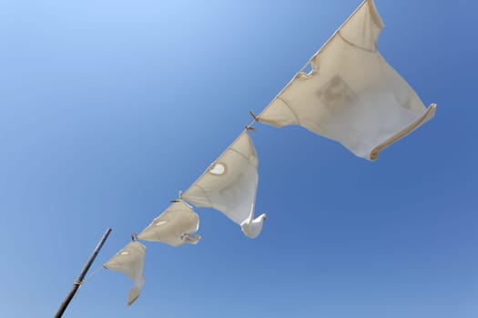 White t-shirts hanging on the clothesline against blue sky