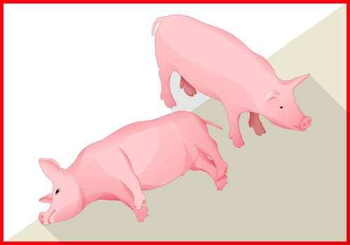 Pig isometric flat vector 3d illustration. Swine icon