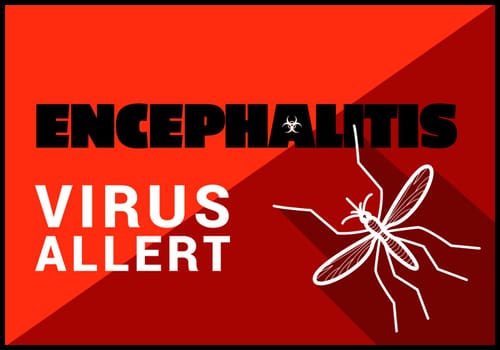 Encephalitis virus allert flat vector outline illustration.