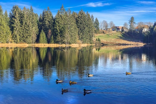 Etang de la Gruére