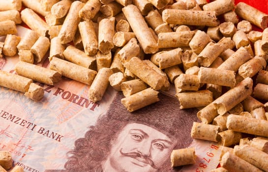 Saving Pellet Hungary Florin