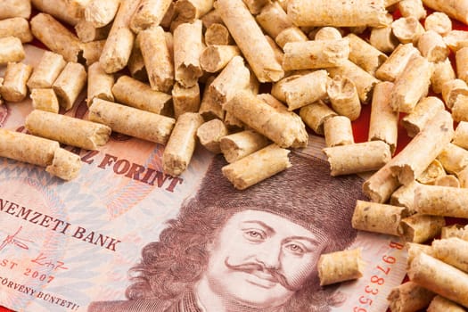 Saving Pellet Hungary Florin