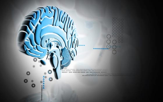 Digital illustration of brain in colour background