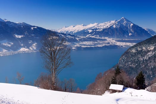 View vom Niederhorn with Lake Thun and Niesen
