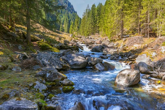 Mountain stream in Val di Campo near Bosco Gurin
