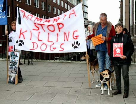 Rally in Hamburg &quot  Stop the legalization of the töoeten of Romanian street dogs ! &quot  The demo was near the Romanian consulate Herrengraben ,BMT made a correction in a special PDF to the net due to the incorrect reporting of the media. http://www.bmt-tierschutz.de/nl/04/newsletter.htmlHamburg,Herrenstrasse