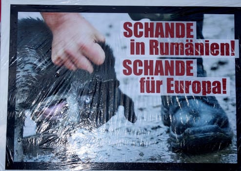 Hamburg - Nationwide demonstrations and vigils in Germany and Staedten in Europe on 08.03.2014 against the toting of the Romanian street dogs