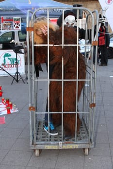 Hamburg - Nationwide demonstrations and vigils in Germany and Staedten in Europe on 08.03.2014 against the toting of the Romanian street dogs