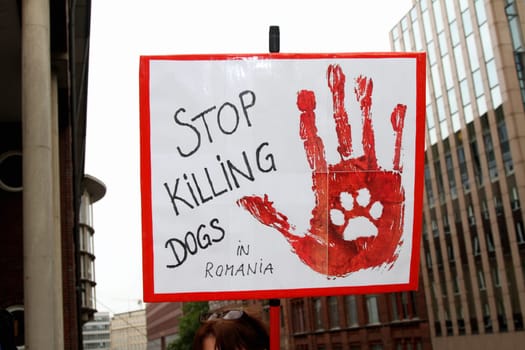 Rally in Hamburg &quot  Stop the legalization of the töoeten of Romanian street dogs ! &quot  The demo was near the Romanian consulate Herrengraben ,BMT made a correction in a special PDF to the net due to the incorrect reporting of the media. http://www.bmt-tierschutz.de/nl/04/newsletter.htmlHamburg,Herrenstrasse