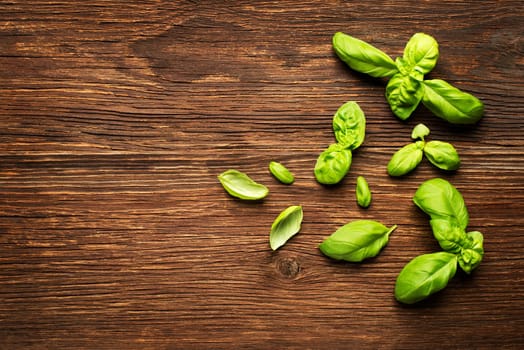 Fresh basil leaves on wooden background close up.