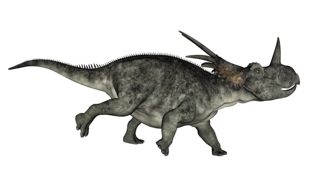 Styracosaurus dinosaur running in white background- 3D render