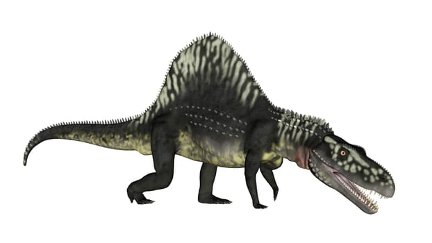Arizonasaurus dinosaur walking mouth open in white background- 3D render