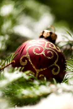 Decoration for Christmas with red and gold Christmas tree balls in front of green fir branches in the background