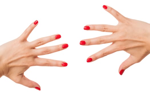 Women's hands with beautiful well-groomed fingers and red nail polish wellness beauty spa close up isolated on white background