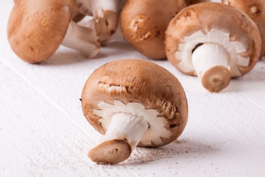 Fresh brown stone mushrooms as a close-up on a rustic white wooden board