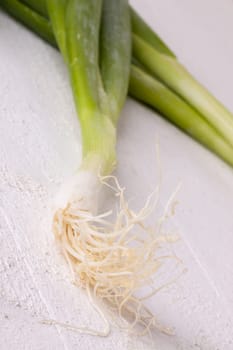 Bunch fresh leek onions spring onions with root on a rustic white wooden board