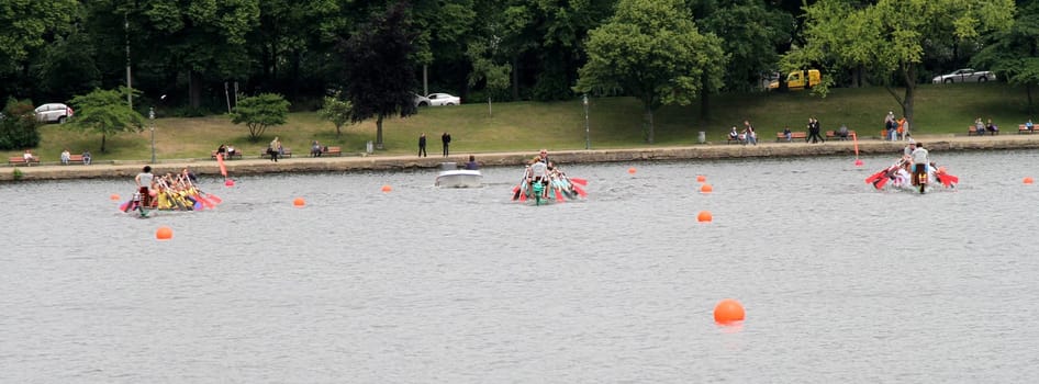 Dragon Boat Cup 2012,Hamburg
