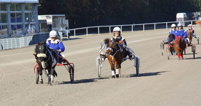 Grand Prix on the Trottbrennbahn: with celebrities on the Trabrennbahn Hamburg - Bahrenfeld on 16.10.2011