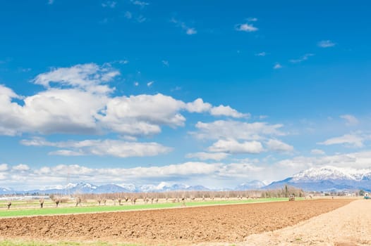Agricultural landscape. With tractor plow a field. The mountains in the background.