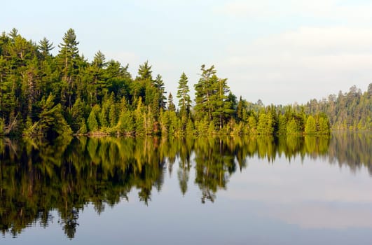 North Wood Pines in Morning on Emerald Lake
