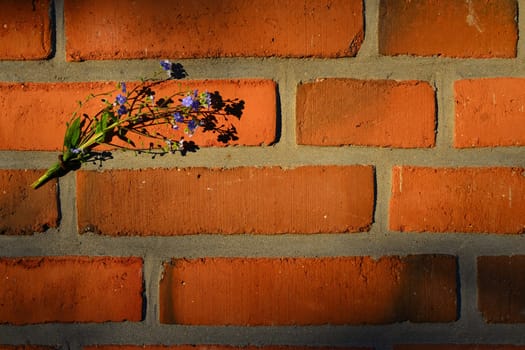 Stone wall background bricks