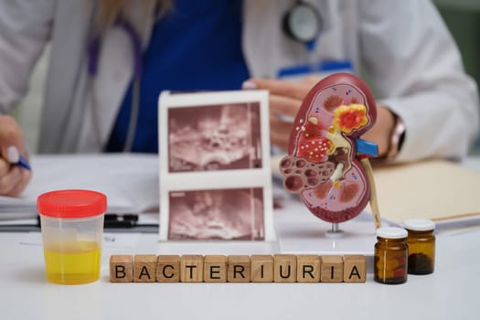 This text gives an overview of methods for diagnosing bacteriuria with kidney models and lab samples