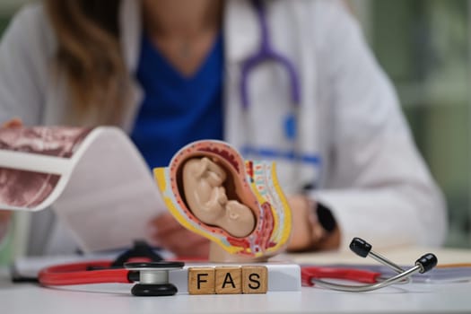 A skilled healthcare professional carefully examines a detailed ear anatomy model using various medical tools
