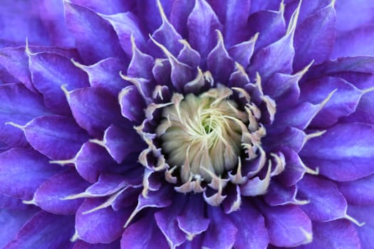 purple-violet color-circle spectrum