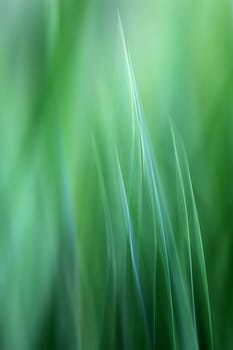green background