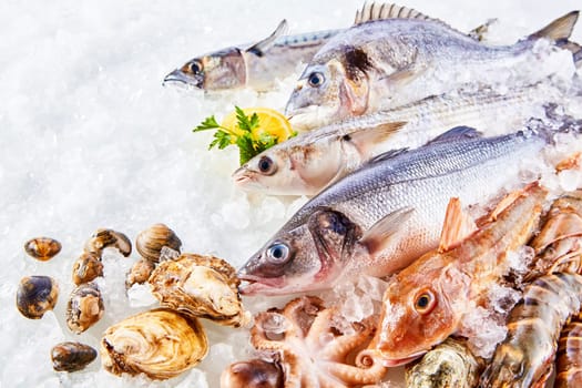 High Angle Still Life of Variety of Raw Fresh Fish and Shellfish Chilling on Bed of Cold Ice in Seafood Market Stall with Copy Space